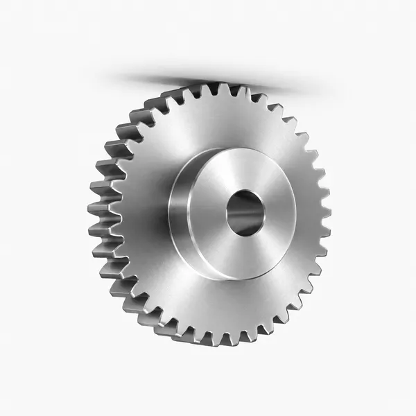 Stainless Steel Spur Gear